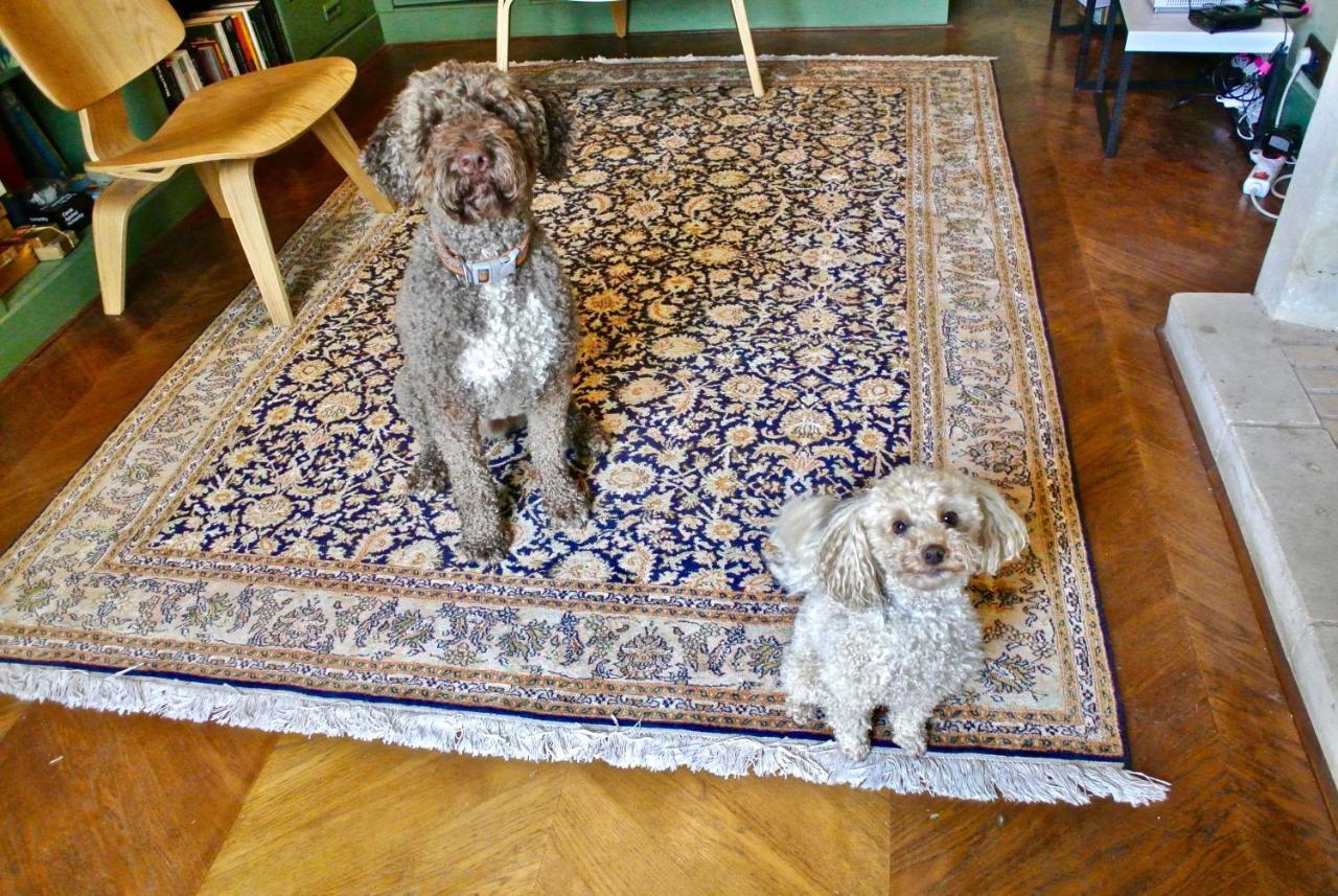 La Jagee Bed & Breakfast Cheille Bagian luar foto